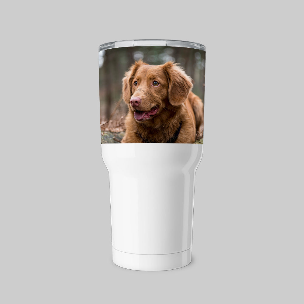 30oz Insulated Tumbler