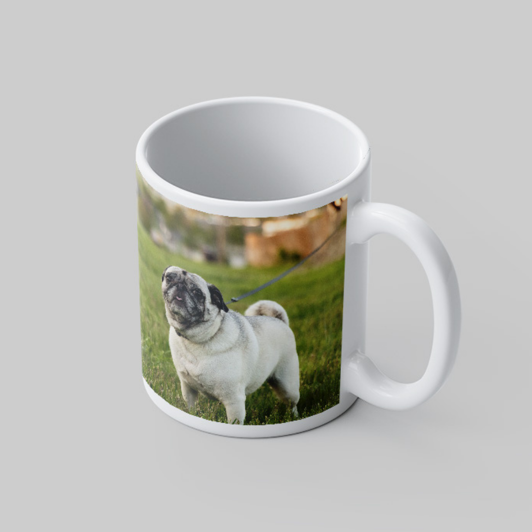 Mugs & Drinkware