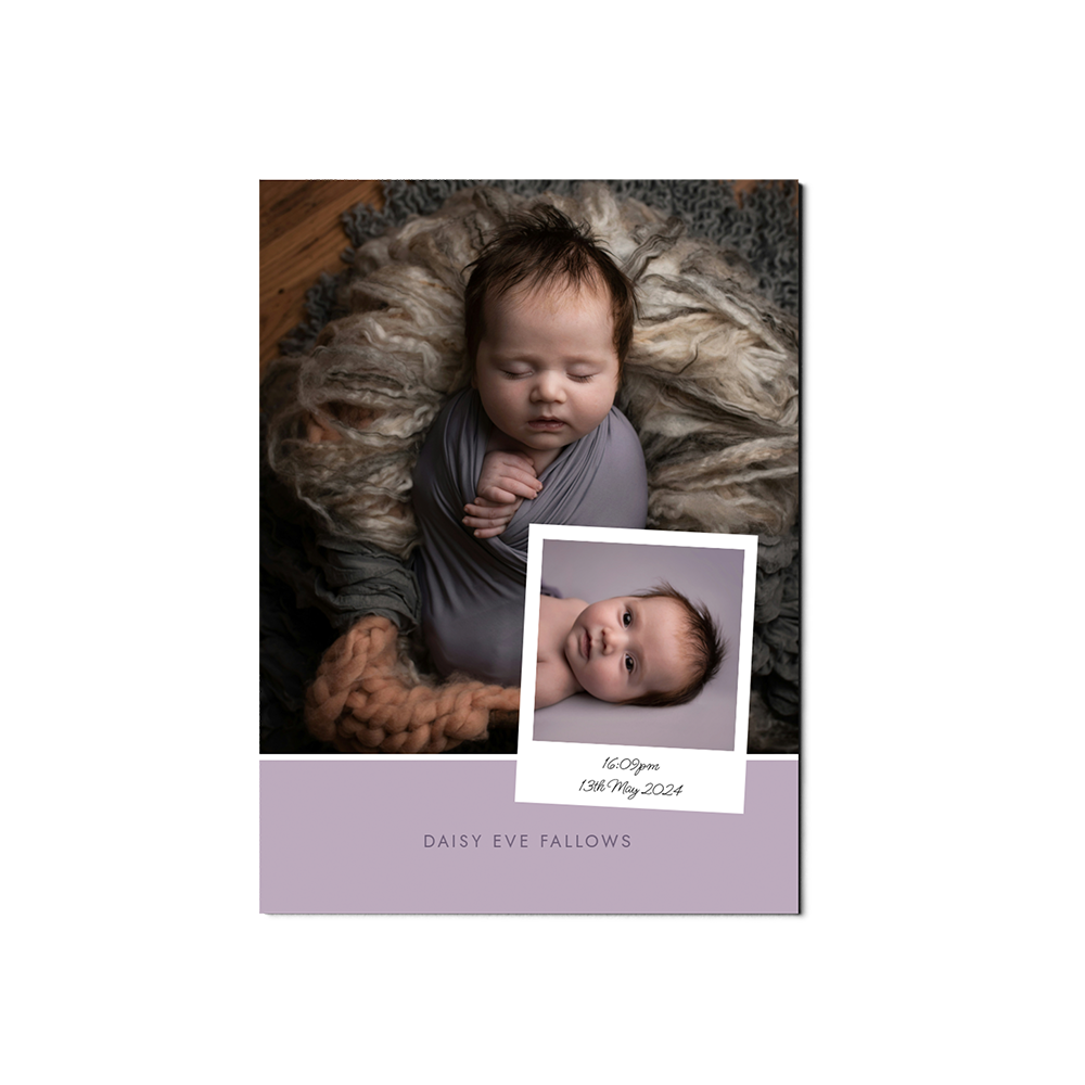 Lilac Baby Announcement Portrait