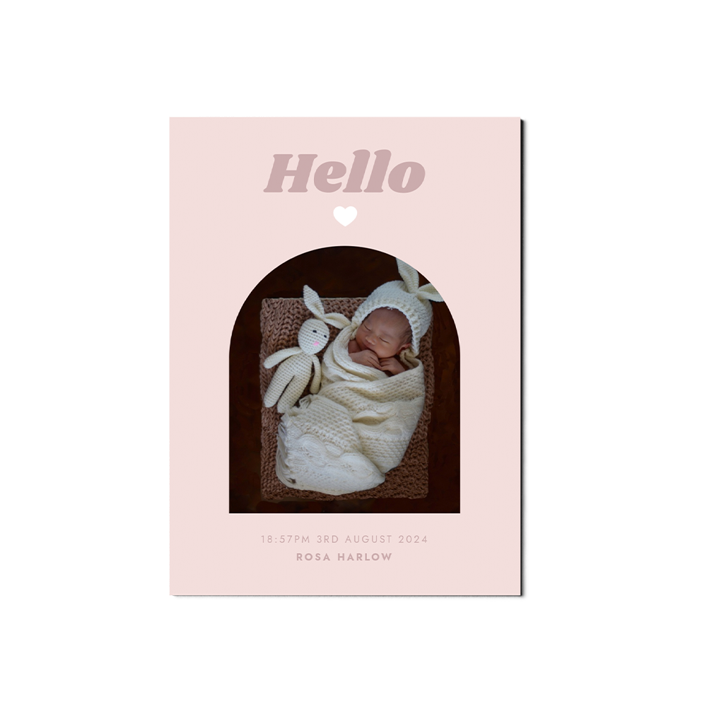 Pink Arch Baby Announcement Portrait