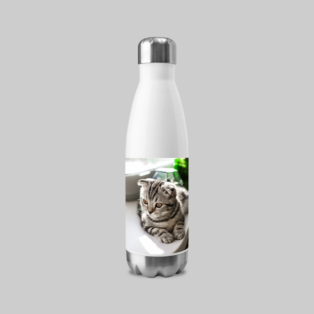 20oz Insulated Water Bottle