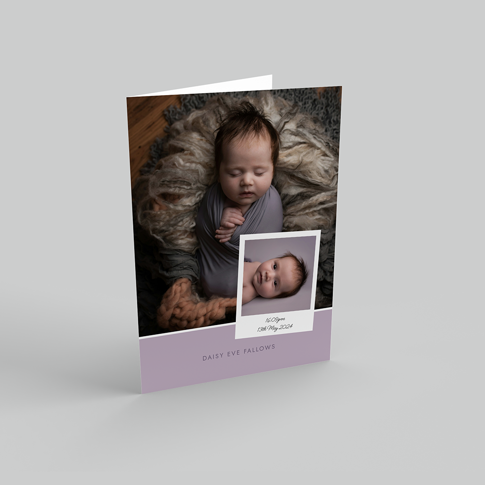 Lilac Baby Announcement Portrait